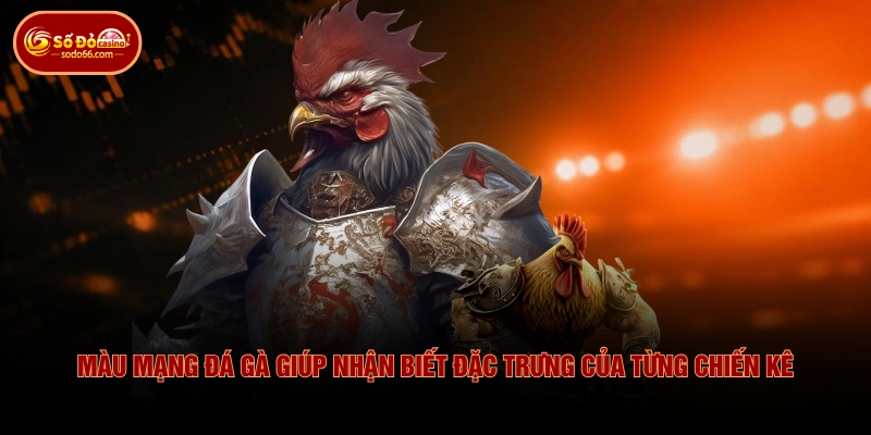 Tìm Hiểu Màu Mạng Đá Gà & Cách Phân Biệt Theo Ngũ Hành 2 Tìm Hiểu Màu Mạng Đá Gà & Cách Phân Biệt Theo Ngũ Hành Màu mạng đá gà giúp nhận biết đặc trưng của từng chiến kê